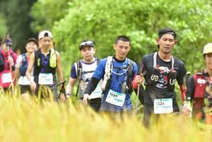 BIB: 1597, 1324, 
                            <button type="button" onclick="openModal(13435714)" class="btn btn-primary btn-sm float-right btn-popup" data-toggle="modal" data-target=".modal-high-quality">
                        <i class="fas fa-shopping-cart"></i> Add to Cart
                    </button>
                                            <button type="button" onclick="isThisMe(13435714, true)" class="btn btn-success btn-sm float-right btn-popup btn-isme hidden" data-toggle="tooltip" data-placement="bottom" title="นี่คือรูปของคุณใช่ไหม คลิกที่นี่เพื่อเอาเข้าอัลบั้ม">
                        <i class="fas fa-plus"></i> Add to album
                    </button>
                    <button type="button" onclick="isThisMe(13435714, false)" class="btn btn-warning btn-sm float-right btn-popup btn-isnotme hidden">
                        <i class="fas fa-ban"></i> Remove from album
                    </button>